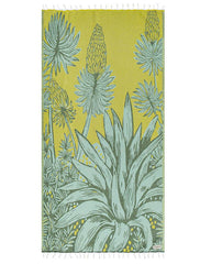 Agave